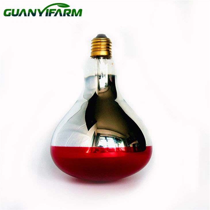 Heating Bulb for Chicks