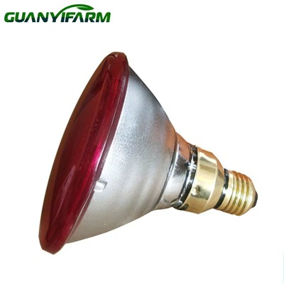 Lampadina riscaldante da 100 W