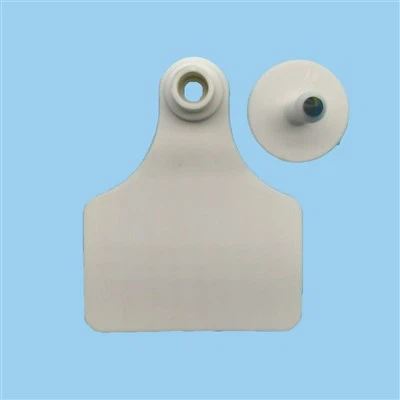 Etichetta auricolare della mucca