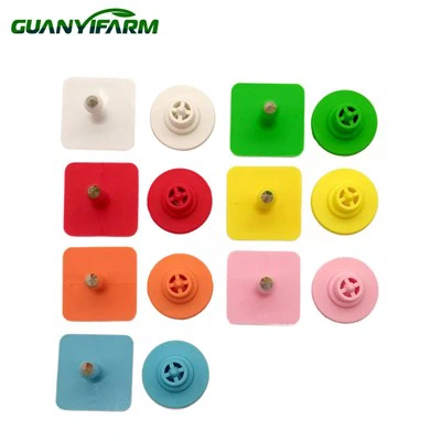 Marchi auricolari per maiali