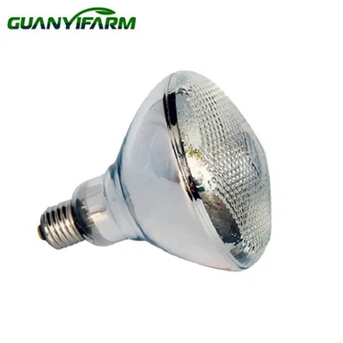 Lampada di calore per maiali