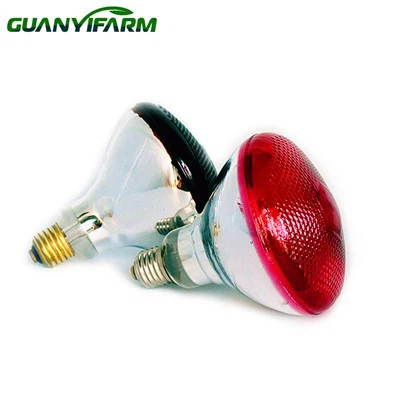 Lampadina per cova a infrarossi