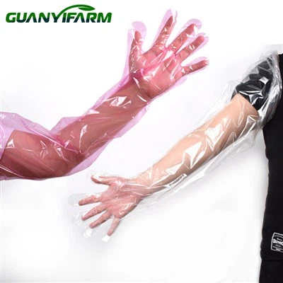 Guanti PE