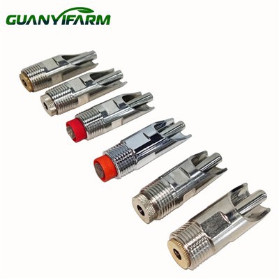 Bevitore di capezzoli di maialino