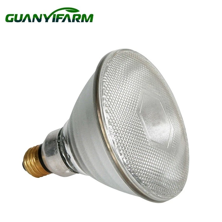 Lampada di calore da 200 Watt