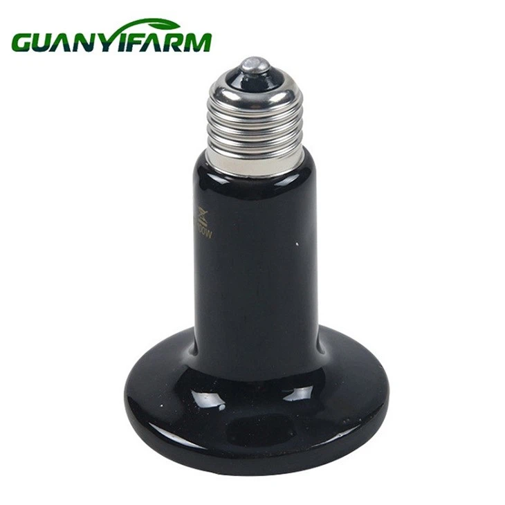 Reptile Ceramic Heat Lamp