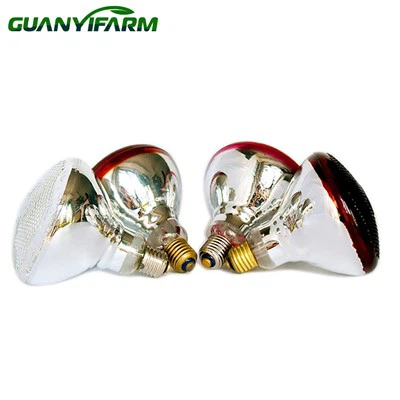 Lampada a infrarossi per mantenere i pulcini al caldo