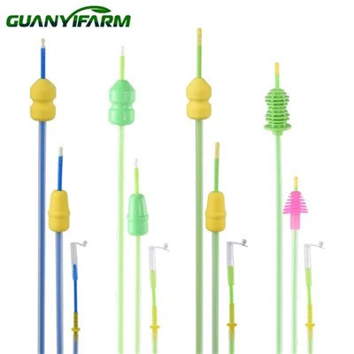 Vas deferenti di maiale